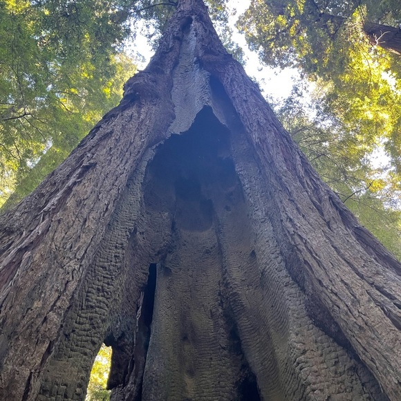 Meet your Posher, Kathy - Picture 4 of 4